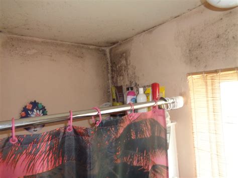 Condensation Problems | Shire Surveyors