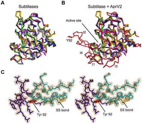 Aprv2 Contains A Novel Disulfide Tethered Loop A Overlay Of The