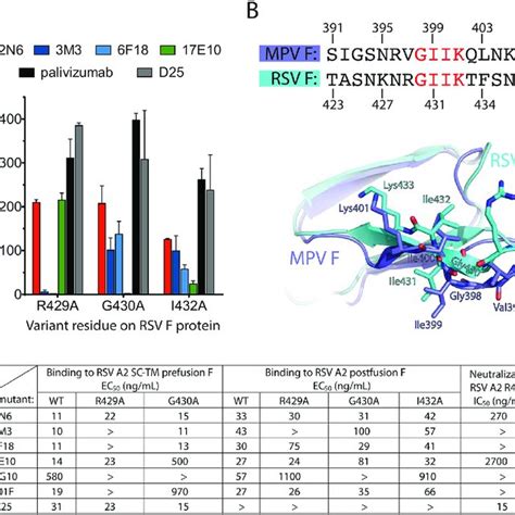 Structure Of The DS7HMPV F Complex A B The DS7 Fab Engages A Single