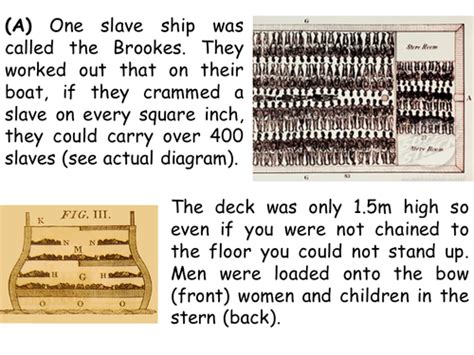 Middle Passage | Teaching Resources