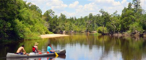 Blackwater River State Park | Florida State Parks