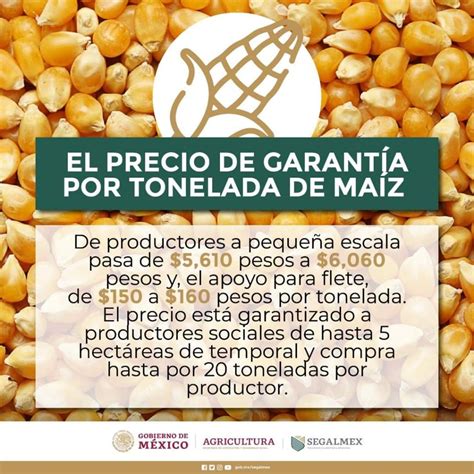 Beneficia A Más De 2 Mil Productores De Chihuahua El Programa Precios