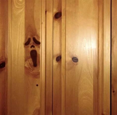 The Scream In A Pice Of Wood Rpareidolia Pareidolia Know Your Meme