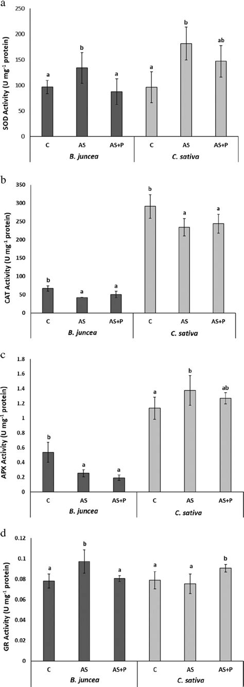 Antioxidant Enzymatic Activities In Leaves Of B Juncea And C Sativa