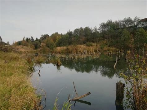 A Dam in the Forest. Forest Water Landscapes Stock Photo - Image of ...