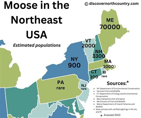 Are There Moose In Upstate New York Discover New Yorks North Country