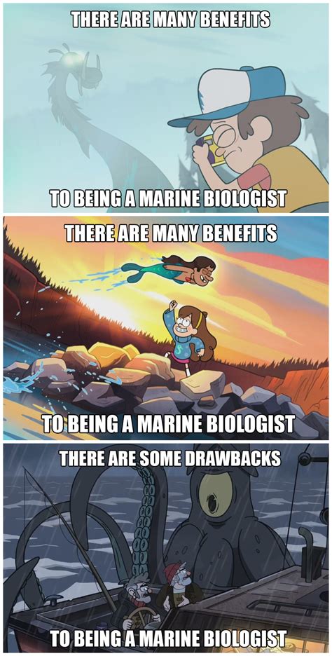 There Are Many Benefits To Being A Marine Biologist Rgravityfalls