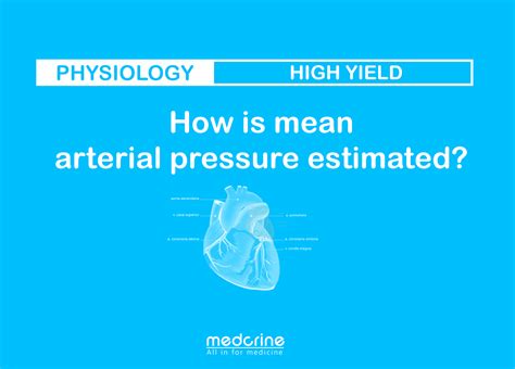 Mean Arterial Pressure Physiology Medcrine