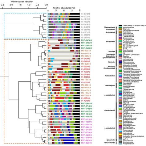 Microbial Community Composition Shown As Relative Abundances In The