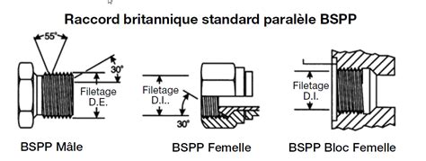 Flexible Et Raccord Hydraulique De Norme Bspp Hydrodis