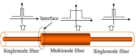 Schematic Configuration Of The Single Mode Multimode Single Mode Fiber Download Scientific