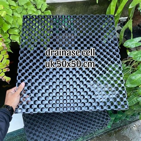 Jual Drainase Cell Alas Rumput Sintetis Tanaman Platycerium Serapan