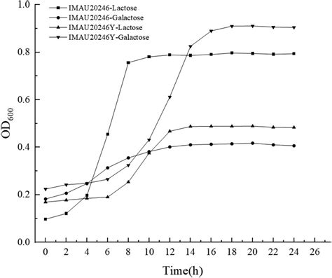 Selection Of A Galactose Positive Mutant Strain Of Streptococcus