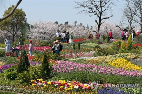 순천만정원박람회 첫 주말 이틀 관람객 25만명 몰려