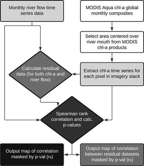 Flow Chart Summarising The Overall Process For The Spatiotemporal