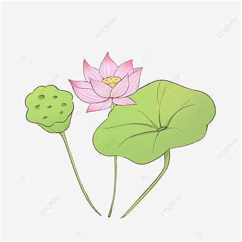 Ink Lotus Hd Transparent Summer Solstice Hand Painted Ink Lotus Leaf