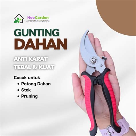 Jual Gunting Dahan Ranting Stainless Kuat Tajam A 100gunting Dahan