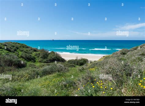 Visiting Ashkelon National Park Israel Stock Photo Alamy