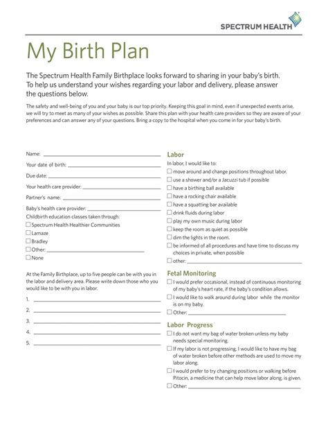 50 Birth Plan Examples | RedlineSP