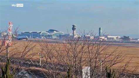 Incidente aereo bird strike di cosa si tratta e perché è pericoloso