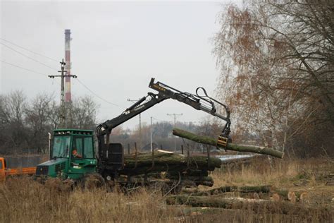 Rzeź wysokich drzew przy linii kolejowej w rejonie Warszawskiej w