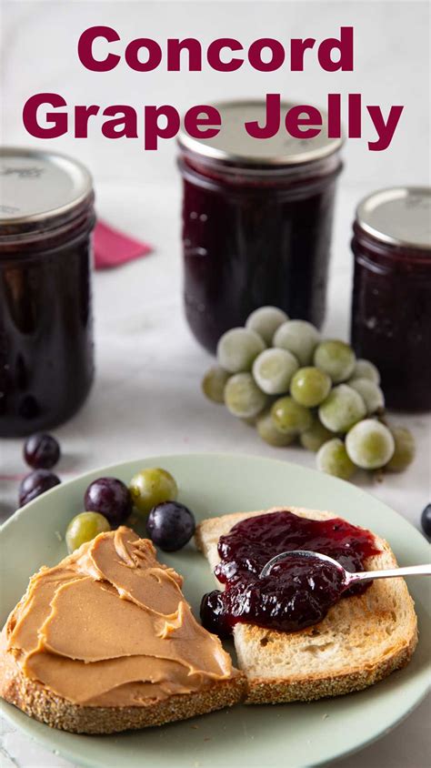 Concord Grape Jelly Binkys Culinary Carnival