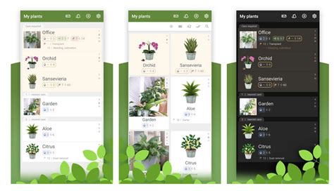 Las Mejores Apps Para Cuidar Plantas