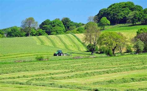 Savills Ireland Rural Property Global Farmland Values Strong As