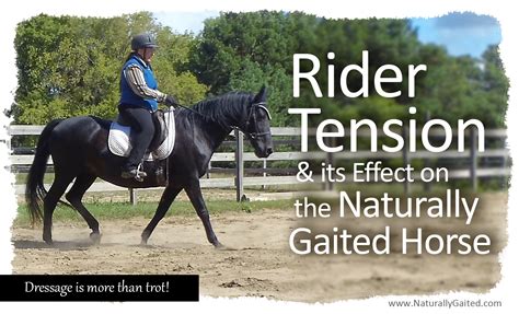 Rider Tension And Its Effect On The Gaited Horse Naturally Gaited Horse