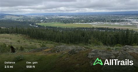 Beacon Hill Trail, Washington - 572 Reviews, Map | AllTrails