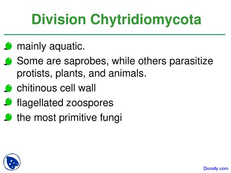 Division Chytridiomycota Introduction To Biology Lecture Slides