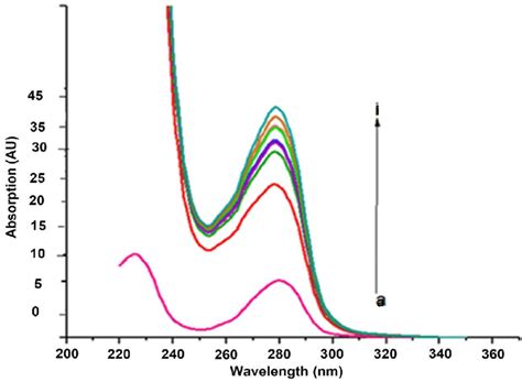 Uv Absorbance Spectra Of Hsa Da In M Pbs With Ph At C Free