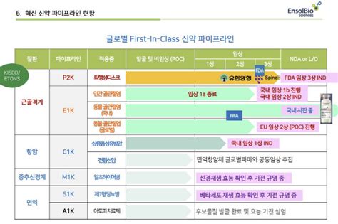 엔솔바이오사이언스 대해부 ②퇴행성디스크치료제 美 Fda 3상 승인‘퀀텀점프 시동 팜이데일리