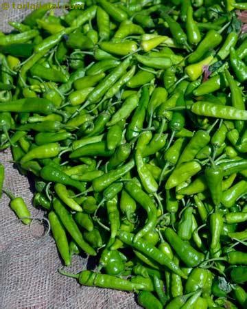 Green Chillies Glossary | Recipes with Green Chillies | Tarladalal.com