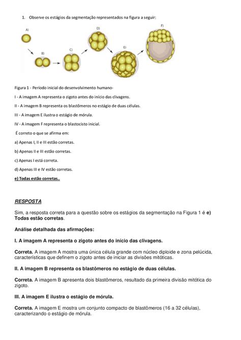 An Lise Dos Est Gios Da Segmenta O Humana E Desenvolvimento Do