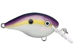 Rapala Dt Series Big Shad Fishing