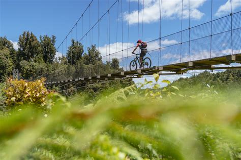 The latest on cycling holidays in New Zealand - Lonely Planet