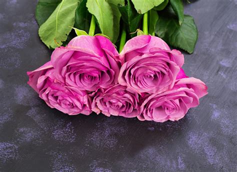 The Meaning of Dark Purple Roses That'll Make You Love Them More ...