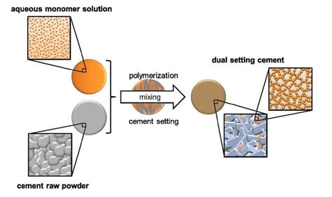 A Schematic Drawing Of The Hardening Mechanism Of A Dual Setting