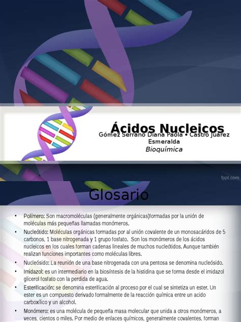 Pdf Acidos Nucleicos Corregido Dokumen Tips