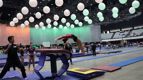 Brianna Nguyen Vault Long Beach Open 2020 Wildfire Gymnast Level 9