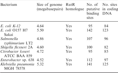 Table From The Escherichia Coli Rutr Transcription Factor Binds At