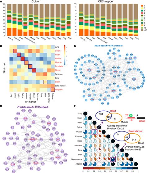 Landscape And Significance Of Human Super Enhancer Driven Core