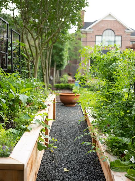 What Is A Kitchen Garden • Gardenary