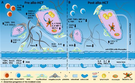 Figure 1 From Role Of Inflammatory Factors During Disease Pathogenesis