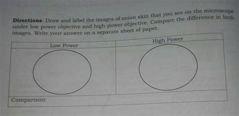 power objective  high power objective compare