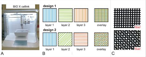 Biox Cellink D Printer A Scheme Of The Two Printed Design Variants