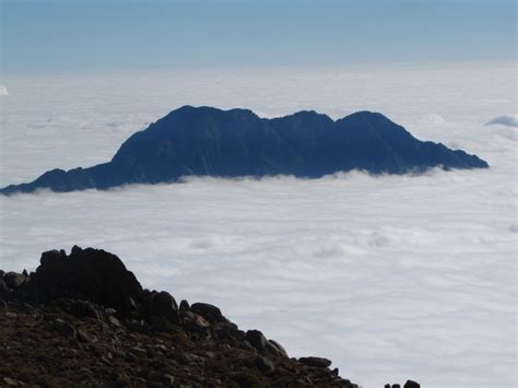 Cerro La Campana Andeshandbook