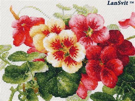 Nasturtiums Lansvit Cross Stitch Pattern A P Etsy