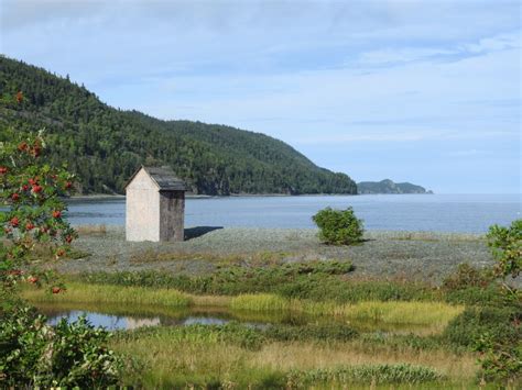 Bob's Newfoundland | Little Bay